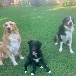 Meet your Posher, Trish